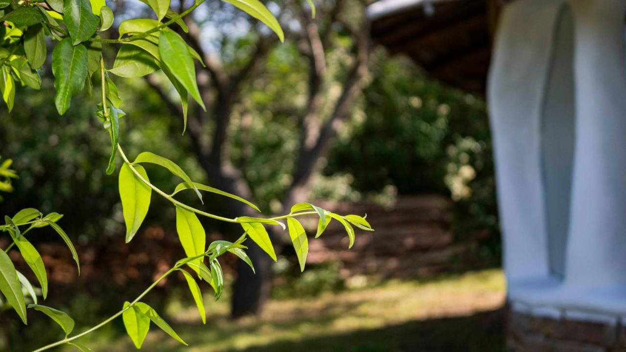 Clay House Banya Vila Banya  Exterior foto